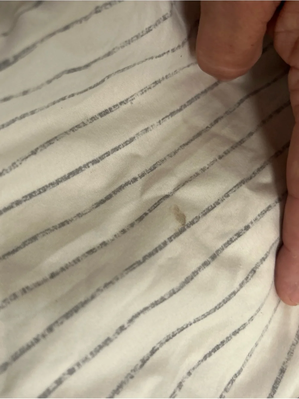 Beddy's Full Size *Bottom Only* Base Sheet White Modern